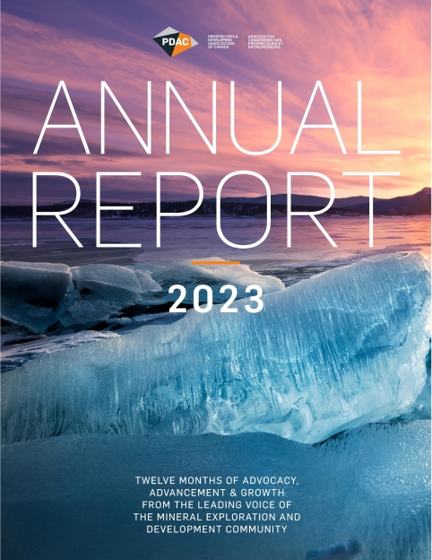 Annual Report tile