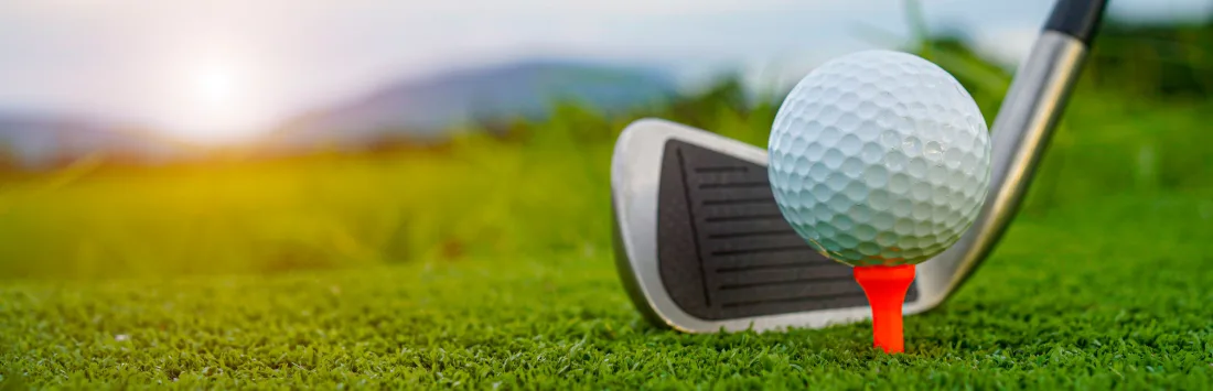 The Network Golf