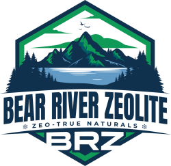 BRZ MAIN LOGO WHT BKND