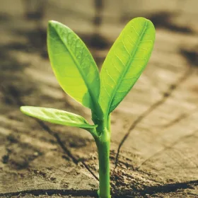 Award Pic Sustainability