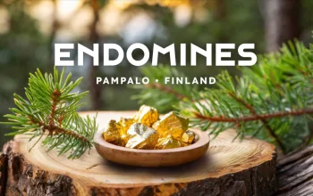 Screenshot 2024 12 06 at 9 43 47