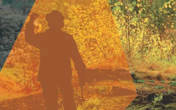 Mineral Finance 2020