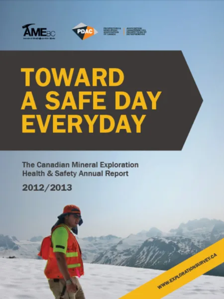 2012 2013 Survey Report Image