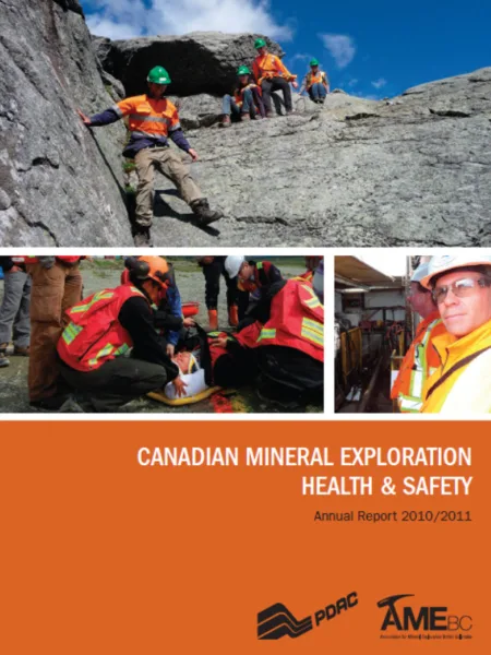 2010 2011 Survey report Image