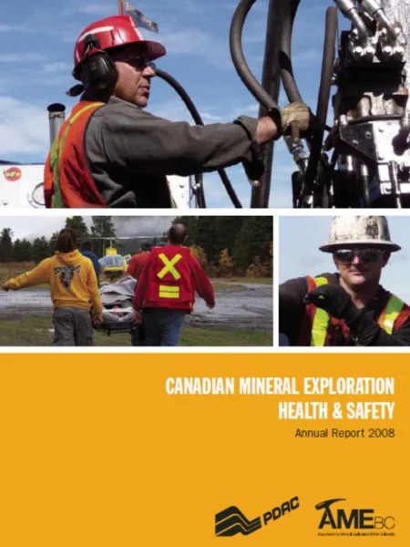2008 Survey report Image