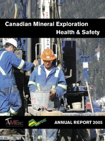 2005 Survey Report Image
