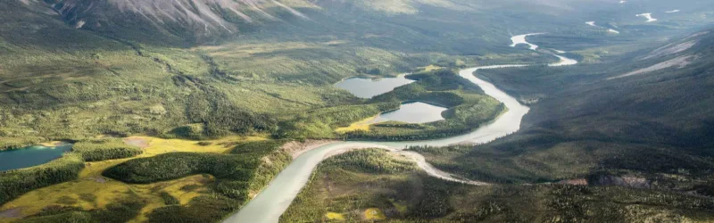 PDAC Banner Image OUR ROADMAP