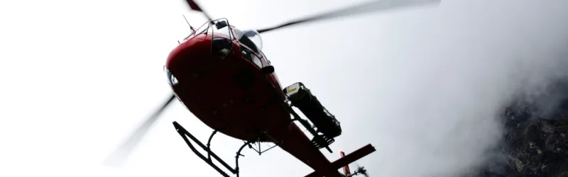 Healthandsafety panda