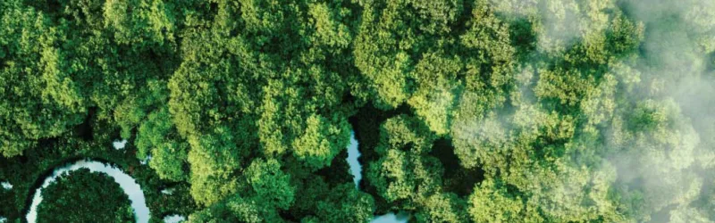 Driving Responsible Exploration