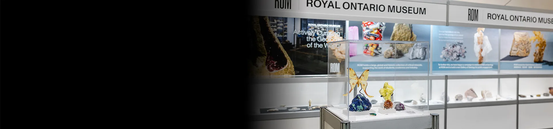 Wedsite Banner Exhibit Floor Attractions 1920x450
