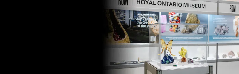 Wedsite Banner Exhibit Floor Attractions 1920x450
