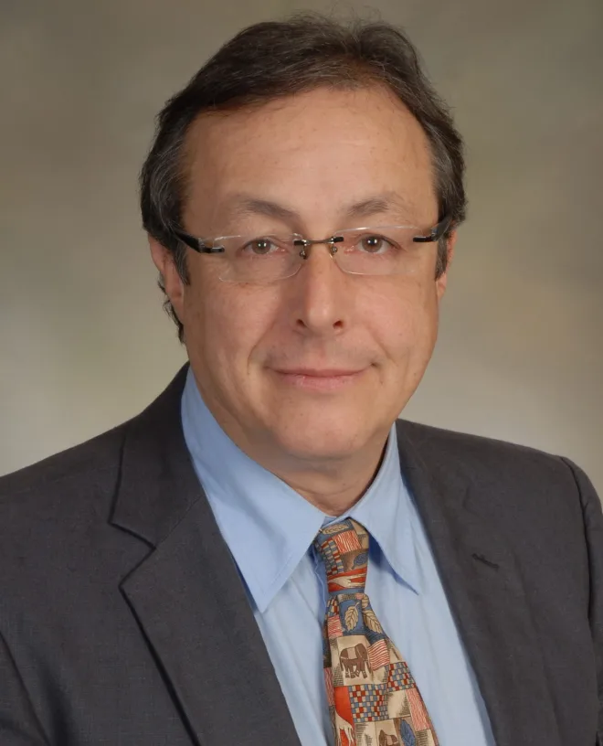 Roussos Dimitrakopoulos - 2025